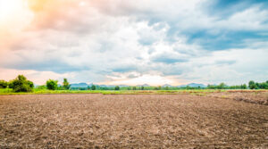 terreno rustico | rustic land | terrain rustique